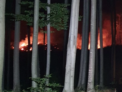Peste 120 de intervenții ale pompierilor în weekend, iar la Slatina de Mureș au ars aproape cinci hectare de pădure