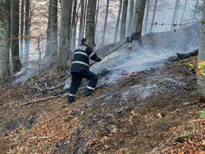 Peste 120 de persoane continuă intervenţia la incendiul de pădure din Cornereva