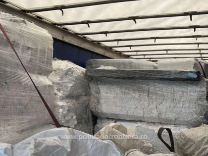 Peste 24 tone de deşeuri, oprite la Nădlac II  și Borș II