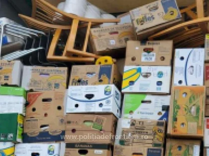 Peste 38 de tone de deşeuri, oprite la Nădlac II și Borș II