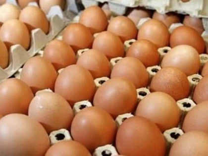 PESTE 4300 DE OUA SI 560 DE KILOGRAME DE FRUCTE, CONFISCATE DE POLITISTI