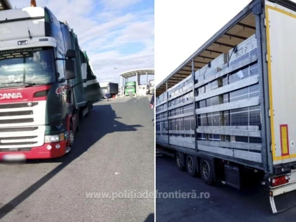 Peste 45 de tone de deşeuri, constând în panouri fotovoltaice, oprite la Nădlac II