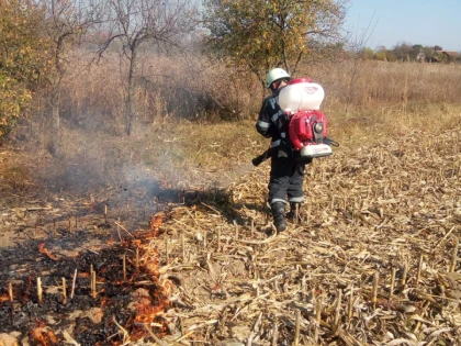 Peste 50 de incendii de vegetație uscată, stinse de pompierii arădeni în ultimele două luni