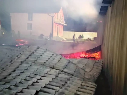Peste 6.000 de pui de prepeliță, 900 pui de găină și 100 pui de rață au ars de vii la Frumușeni