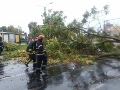 Peste 80 de intervenții ale ISU Arad, în urma furtunii de duminică