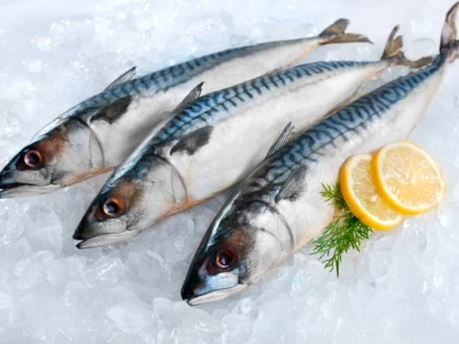 Peștele, sursă de proteine și acizi grași Omega-3