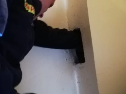 Pisică salvată de pompierii arădeni. De ce? Pentru că pot