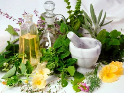 Plante care te pot ajuta să reduci din numărul kilogramelor în plus