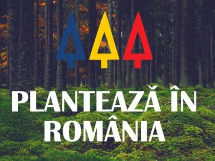 „PLANTEAZA IN ROMANIA“, CEA MAI AMPLA ACTIUNE DE IMPADURIRE DIN ULTIMII ANI