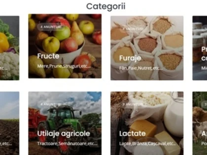 Platforma online – piață virtuală cu vânzare directă
