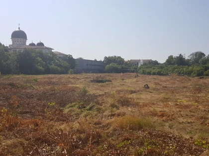 PNL Arad elimină concurența firmelor de casă. Primăria blochează construcția unui complex rezidențial