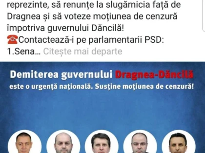 PNL Arad vrea să ajungă la ciolan cu voturile parlamentarilor PSD