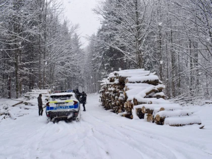 Poliția a demarat controale în pădurile din județul Arad