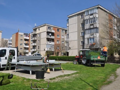 Poliția locală i-a luat în colimator pe arădenii care nu îngrijesc spațiile verzi