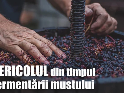 Poliția Română avertizează: Pericolul din timpul fermentării mustului