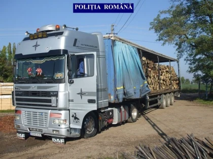 Polițiștii arădeni au confiscat sute de metri cubi de material lemn