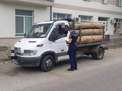 Polițiștii au confiscat 40 de metri cubi de material lemnos, în urma unor controale în județ