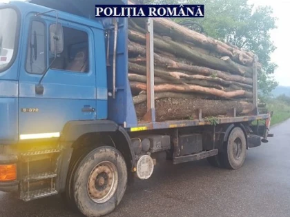 Polițiștii au depistat încă un transport ilegal de lemne
