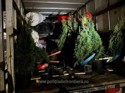 Poliţiştii de frontieră arădeni au depistat 72 de cetăţeni străini, ascunşi în două mijloace de transport