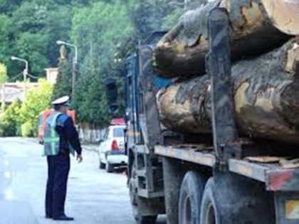 POLITISTII DIN CHISINEU CRIS AU CONFISCAT UN TRANSPORT CU 7 METRI CUBI DE MATERIAL LEMNOS