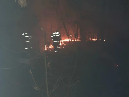 Pompierii arădeni au intervenit, duminică, pentru stingerea a 20 de incendii izbucnite la vegetație uscată și pășune împădurită