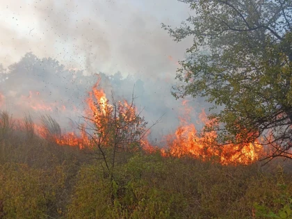 Pompierii arădeni au reușit să stingă zece incendii de vegetație uscată, în ultimele 24 de ore