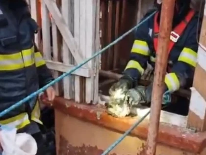 Pompierii arădeni au salvat o pisică căzută într-o fântână, pe strada... Pompierilor
