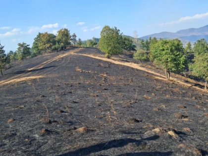 Pompierii arădeni luptă cu incendiile de vegetație în toate colțurile județului. Au fost afectate 74 de hectare, într-o singură zi