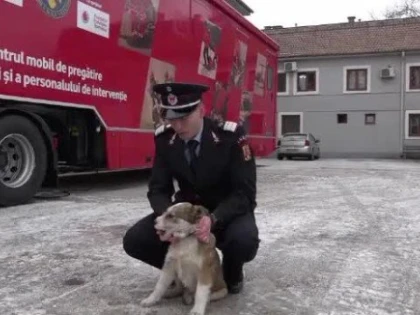 Povestea lui Moby, câinele salvat din flăcări și angajat la pompieri