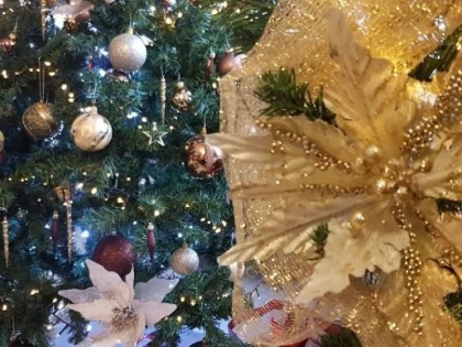 Povestea primului brad de Crăciun împodobit în România