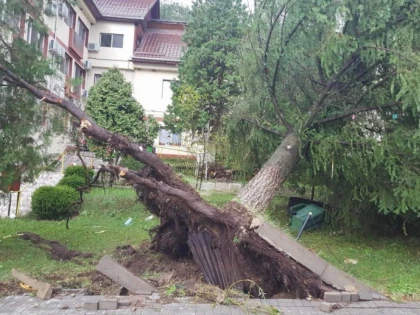 Prefectura și CJA au solicitat Guvernului bani pentru cei afectați de furtună