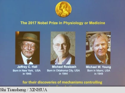 Premiul Nobel pentru Medicină, câștigat de trei americani