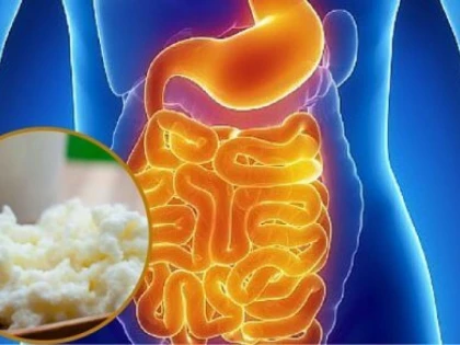 Preparatul care te ajută să refaci flora intestinală