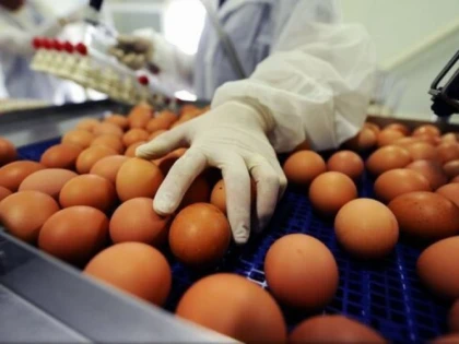 Prețul ouălor a explodat înainte de Crăciun