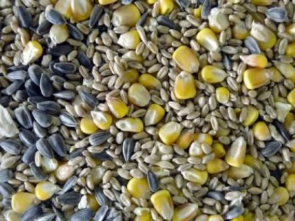 PRETURILE ALIMENTELOR, LA CEL MAI SCAZUT NIVEL DIN ULTIMII CINCI ANI, IN APRILIE