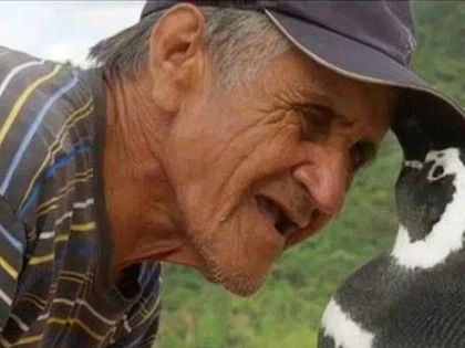 PRIETENIA NEOBISNUITA DINTRE UN PINGUIN SI UN ZIDAR