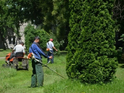 Primăria anunță lucrările la spațiile verzi din Gai și Aurel Vlaicu