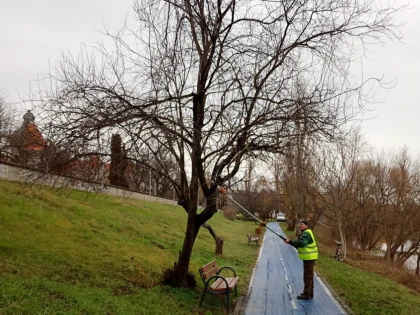 Primăria Arad a demarat lucrări de întreținere a parcurilor de pe malul Mureșului