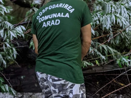 Primăria Arad: Atenție la cei care se dau angajați GCA și vând material dendrofloricol