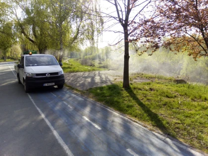 Primăria Arad desfășoară prima acțiune de dezinsecţie din acest an