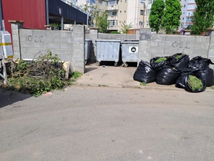 Primăria Arad lansează o nouă campanie de curățenie generală de primăvară
