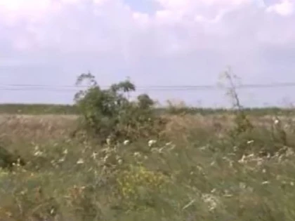 Primăria Arad: Terenurile agricole nelucrate timp de doi ani consecutiv, impozite majorate