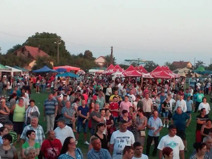 Primăria Felnac a fost nevoită să anuleze zilele comunei, din cauza pestei porcine