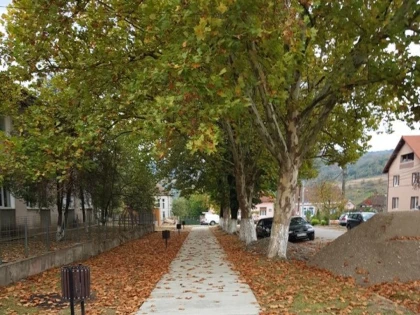 Primăria Gurahonț masacrează arborii din comună