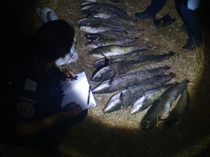 Prinși la furat de pește, dintr-o pescărie din Nădlac