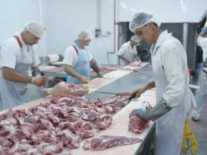 PRODUCATORII ARADENI DE CARNE DE PORC SUNT AFECTATI DE REDUCEREA TVA DIN UNGARIA