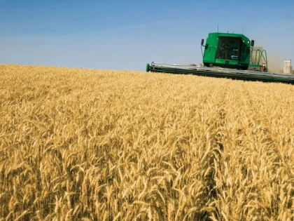 PRODUCȚIILE SUNT RECORD, DAR FERMIERII SUNT NEVOIȚI SĂ VÂNDĂ CEREALE LA PREȚURI MICI