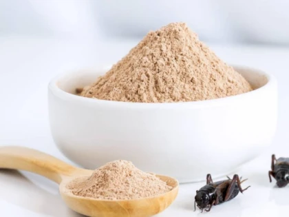 Produsele pe bază de făină de insecte urmează să ajungă pe rafturile magazinelor din România!