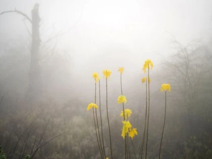 Prognoză meteo: De la 15 grade ajungem la 5 grade