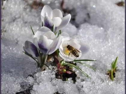 Prognoza meteo pentru această săptămână